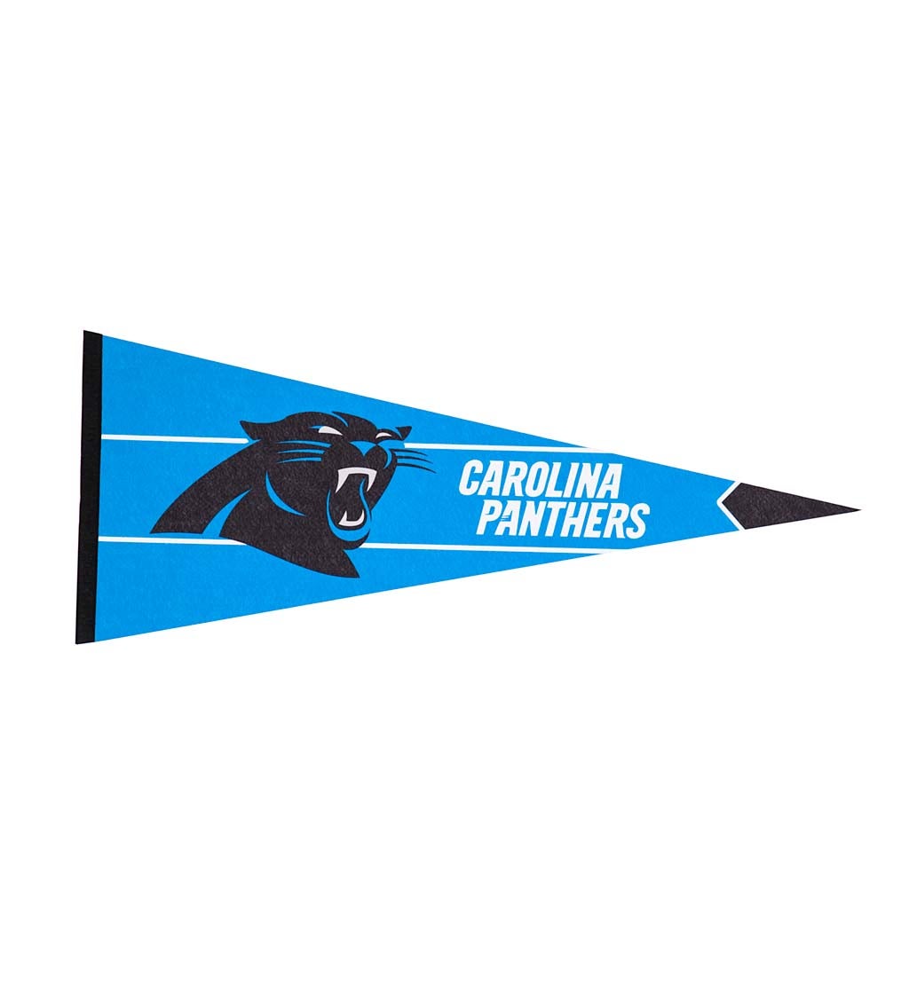 Carolina Panthers Pennant Flag