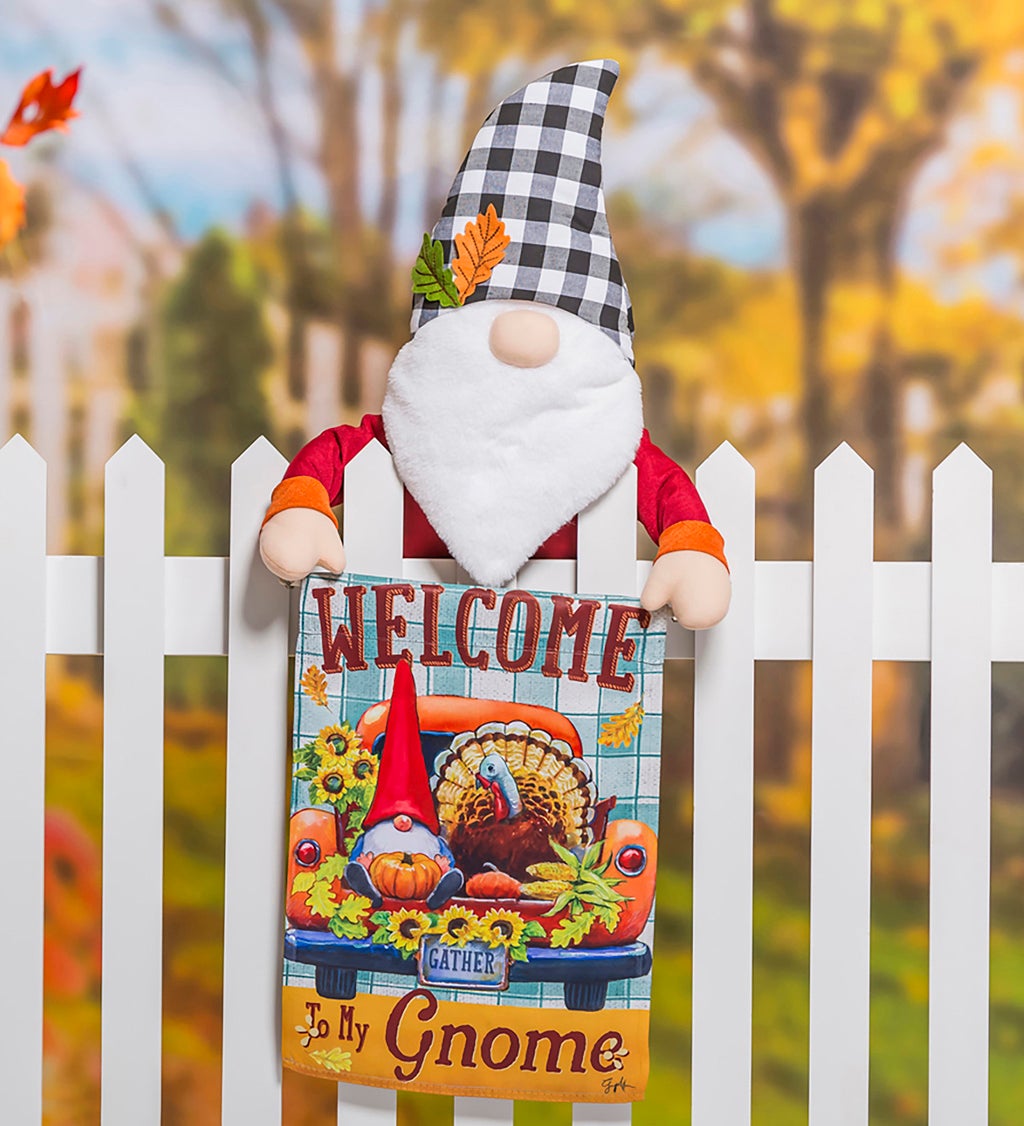 Gnome Fence Friend