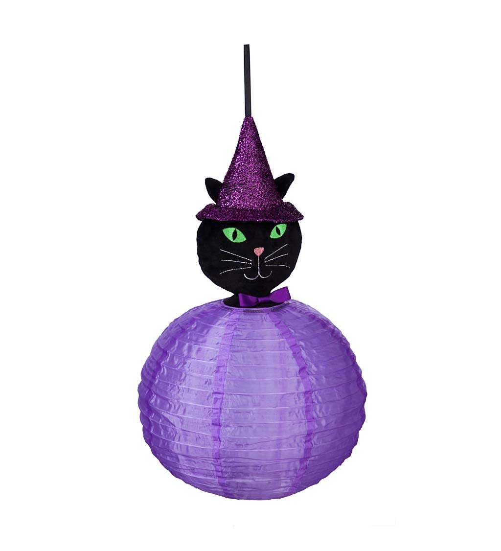 Black Cat Beaming Buddies Collapsible Lantern