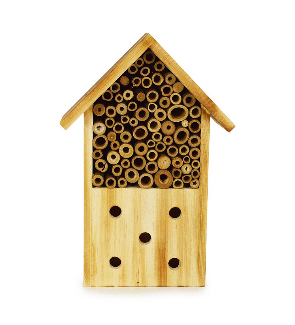 Log Cabin Wooden Bee House