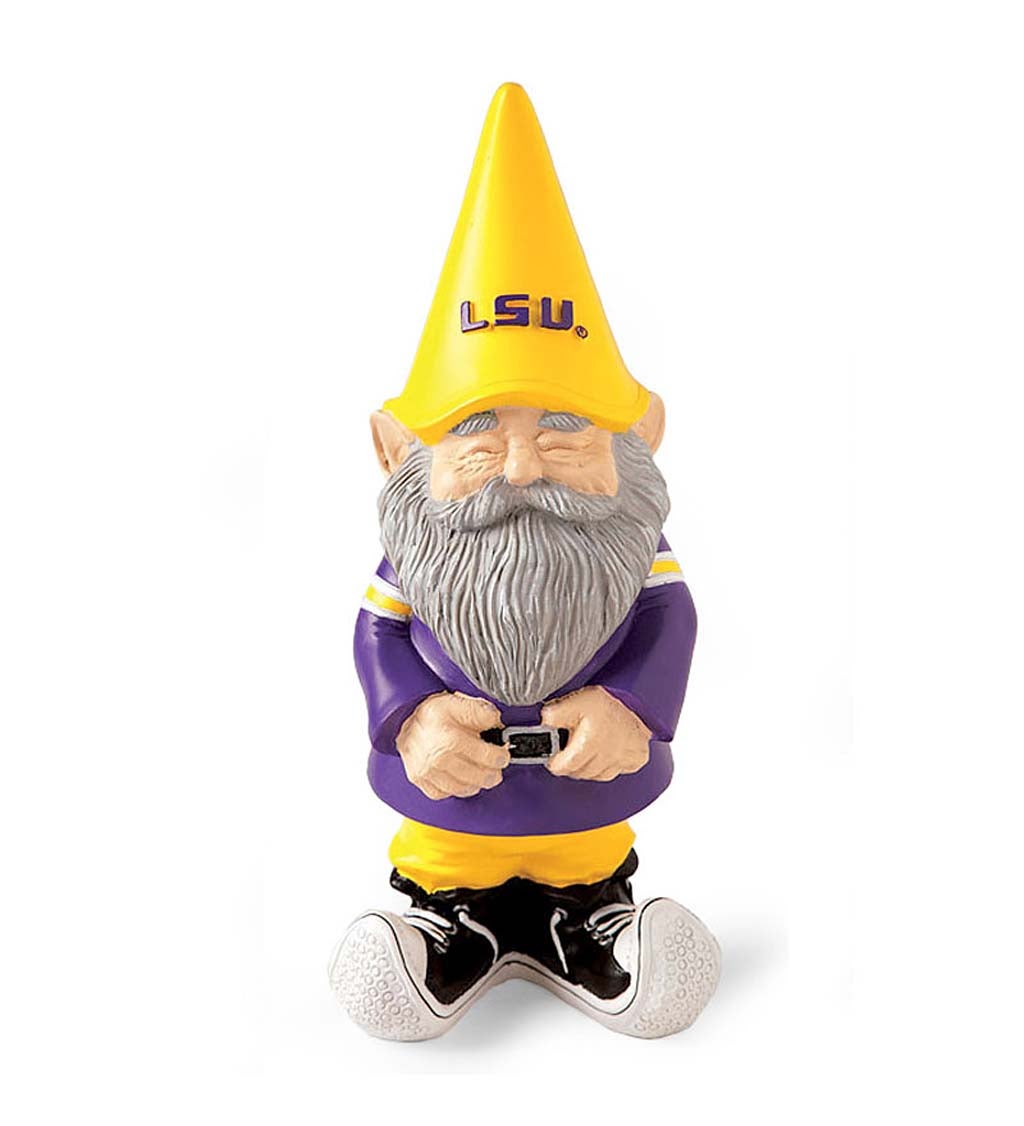 Louisiana State University Gnome