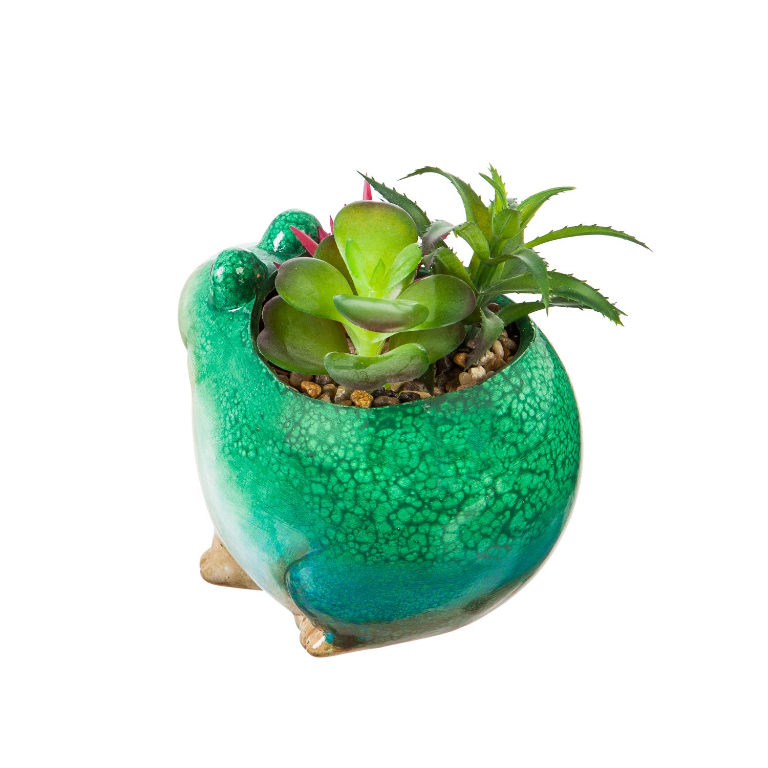 Ceramic Frog Planter with Succulent