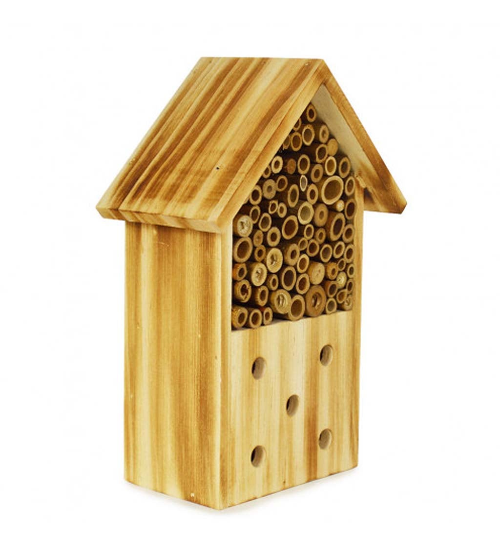 Bee house, Log Cabin