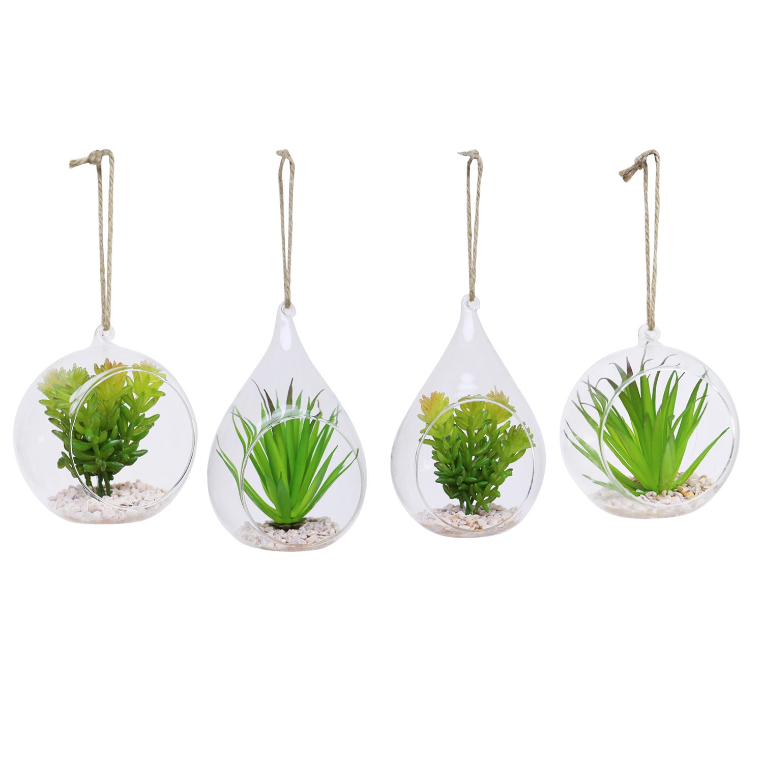 Set of 4 Hanging Succulents