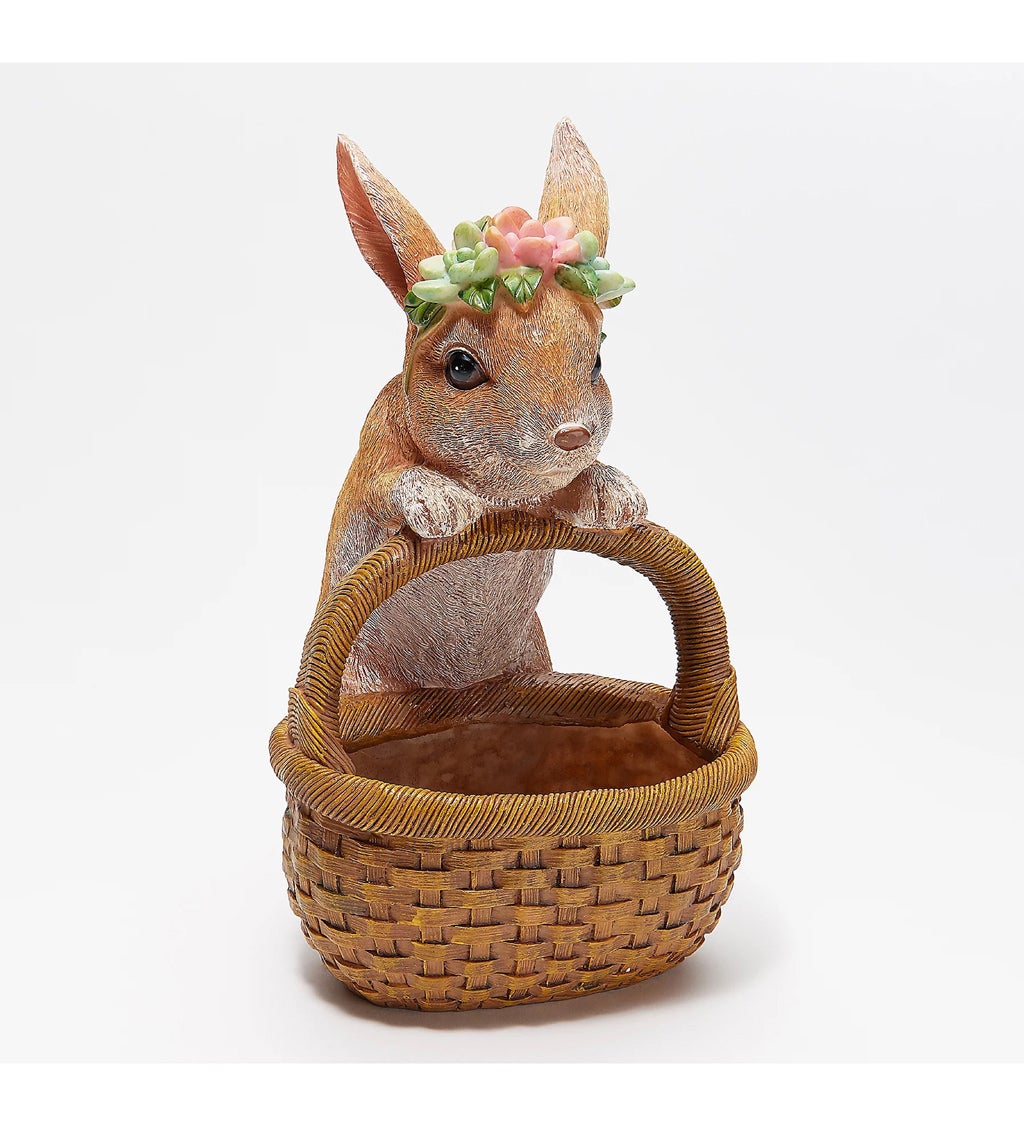 Succulent Planter Basket, Rabbit