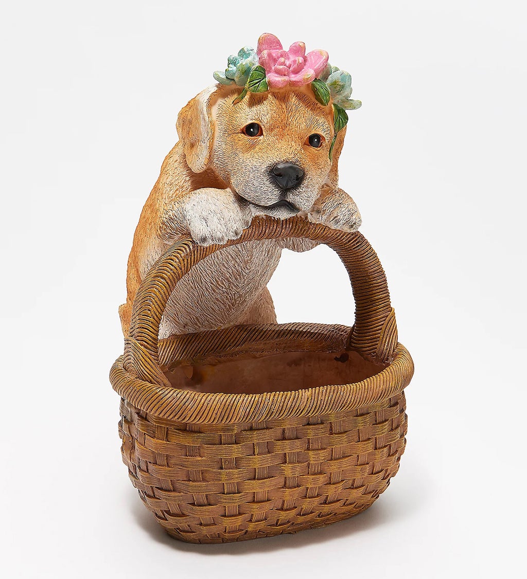 Succulent Planter Basket, Dog