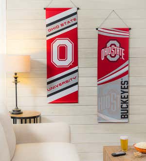 Ohio State University, Dowel Banner