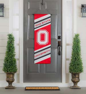 Ohio State University, Dowel Banner