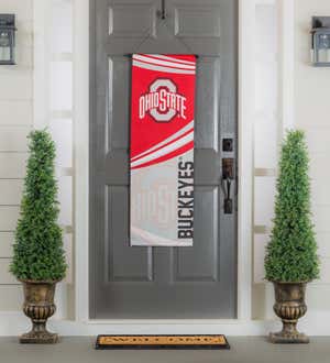Ohio State University, Dowel Banner