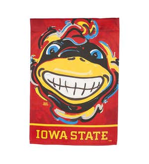 Iowa State University Suede House Flag Justin Patten