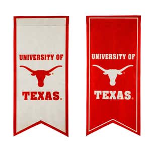 University of Texas, Flag Banner