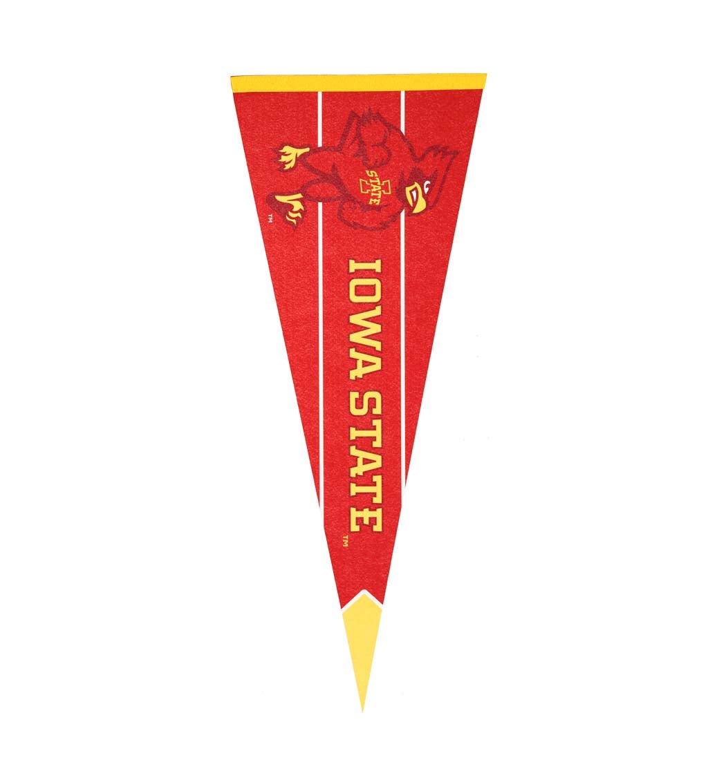 Iowa State University Pennant Flag