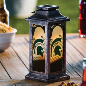 Michigan State University Solar Garden Lantern