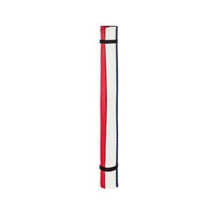 Reversible Indoor/Outdoor 3x5 Rug, Red&Blue Stripes
