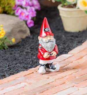 University of Georgia Garden Gnome