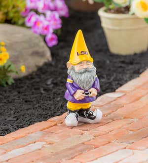 Louisiana State University Gnome