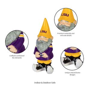 Louisiana State University Gnome