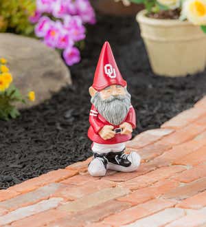 University of Oklahoma Garden Gnome