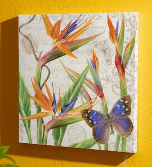 Butterfly and Bird of Paradise 24"x 24" Outdoor Canvas