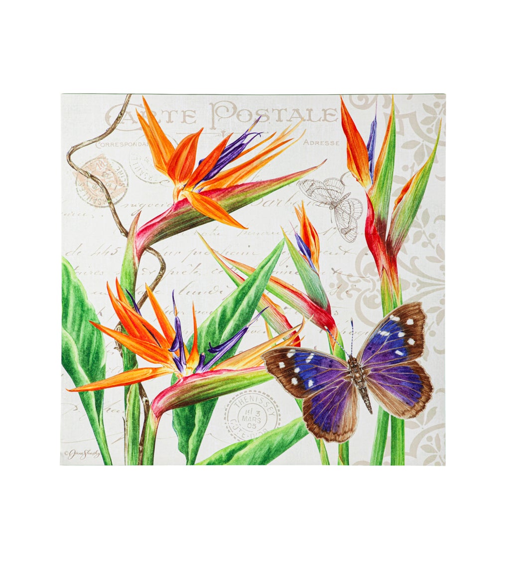 Butterfly and Bird of Paradise 24"x 24" Outdoor Canvas