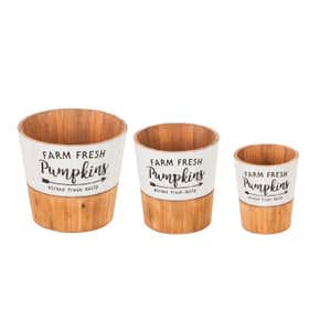 Fresh Picked Pumpkins Wooden Planters, Set of 3