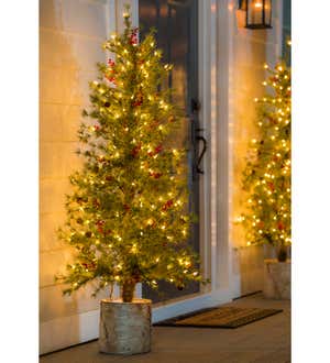 60"H Lit Artificial Christmas Pine Tree with Resin Birch Pot