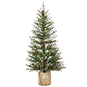 60"H Lit Artificial Christmas Pine Tree with Resin Birch Pot