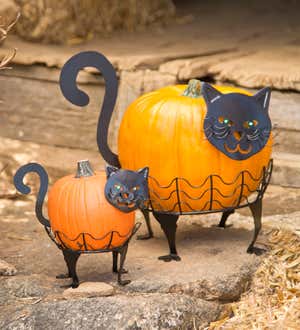 Set Of 2 Cat Pumpkin Holders With LED Eyes