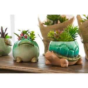Ceramic Turtle Planter with Succulent