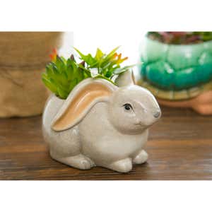 Ceramic Rabbit Planter with Succulent