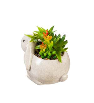 Ceramic Rabbit Planter with Succulent