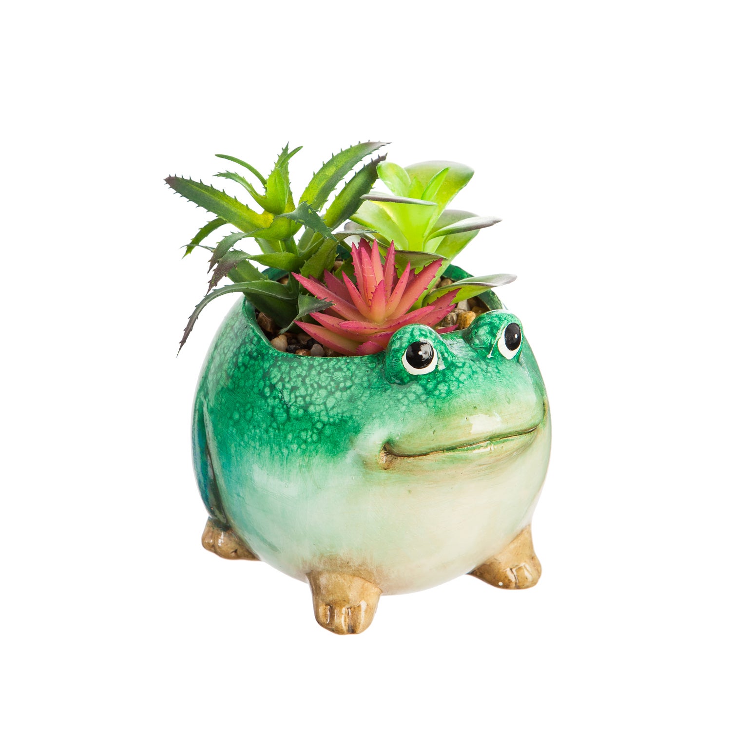Ceramic Frog Planter with Succulent