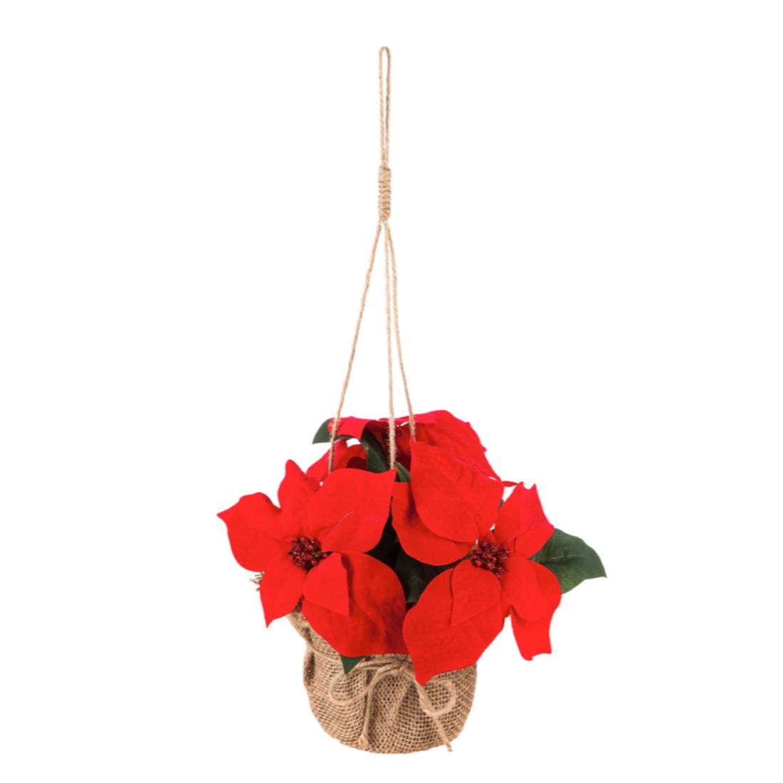 Hanging Poinsettia with Burlap Wrapped pot and Rope Hanger