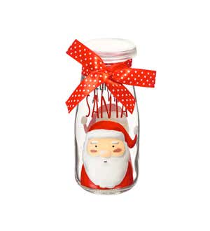 Novelty Collection Cookies for Santa Gift Set