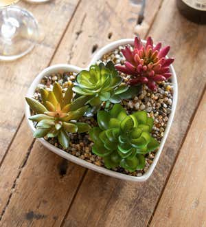 Ceramic Heart Shaped Dish with Succulent Table Decor