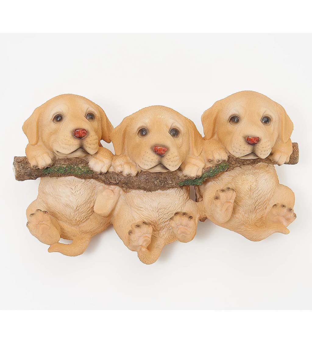 Puppies on Branch
