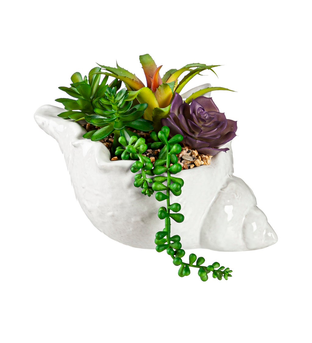 Artificial Succulent in Ceramic Conch Shell Table Décor