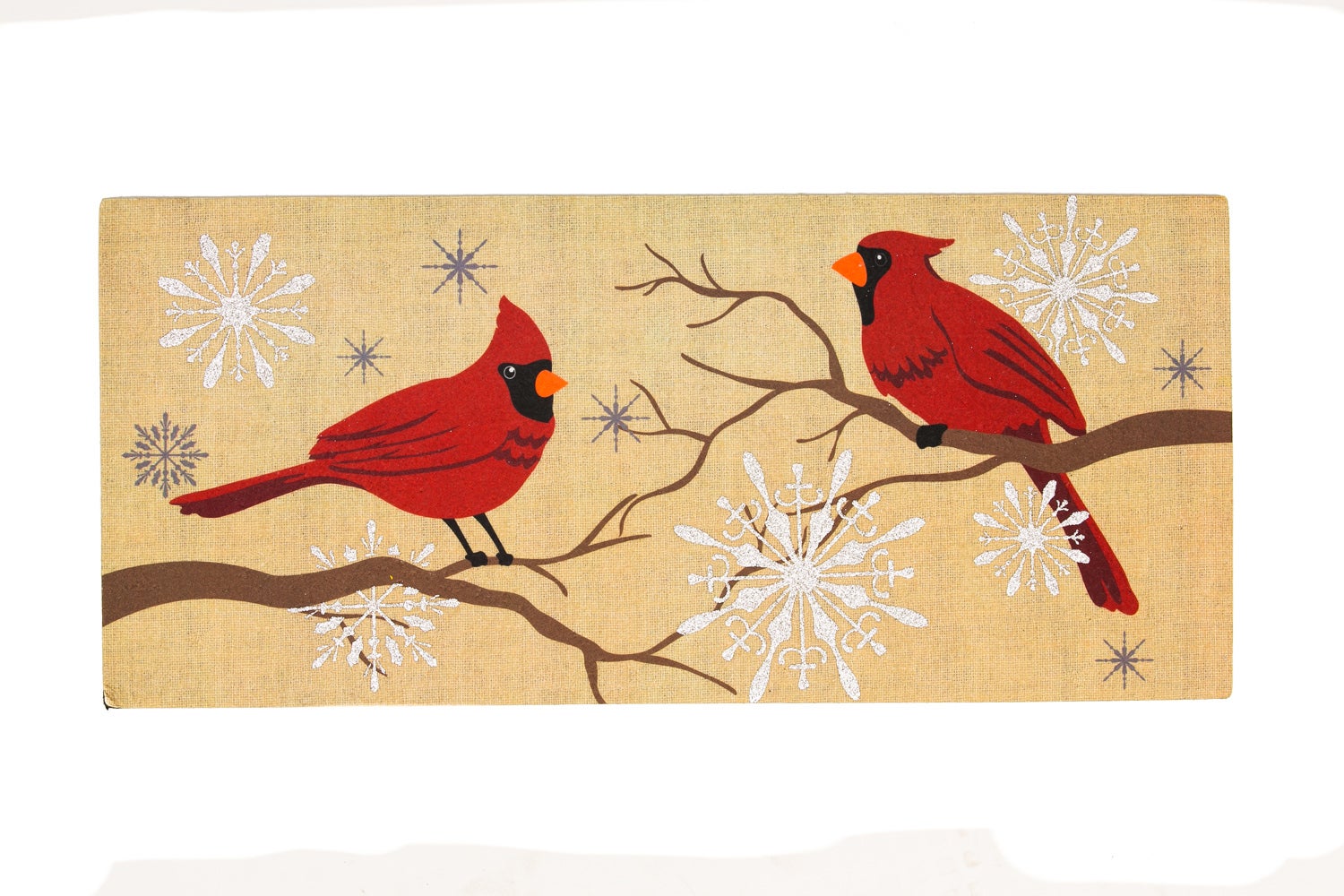 Decorative Feathers And Snow Sassafras Doormat