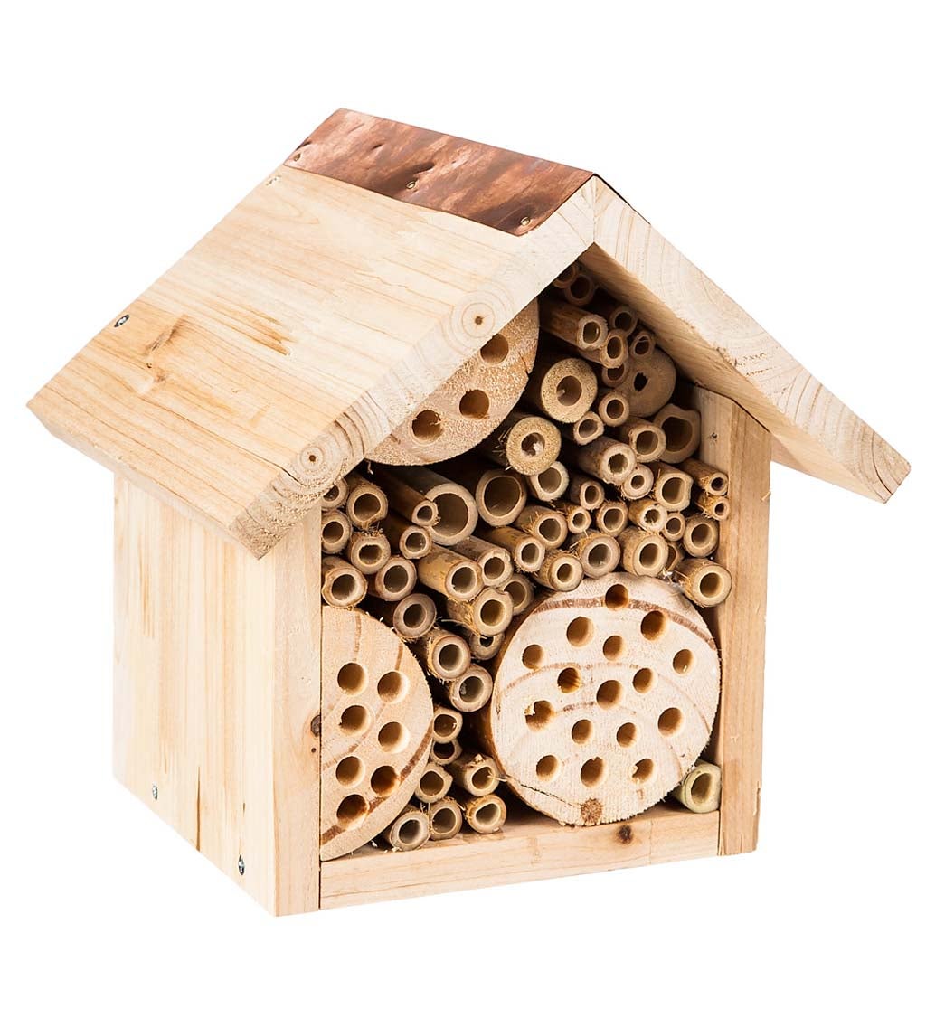 Busy Bee Wooden Habitat House
