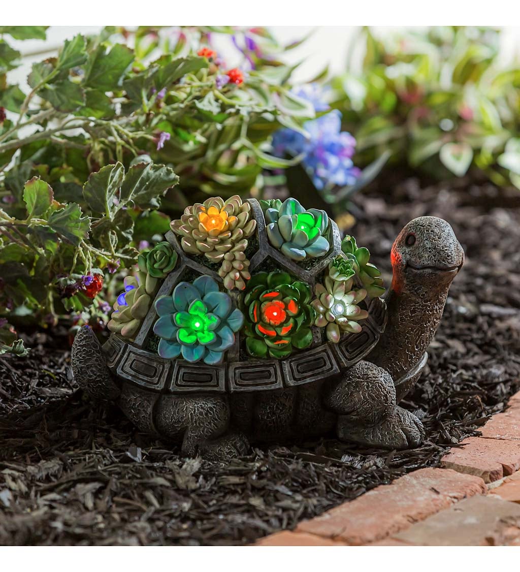 Solar Resin Succulent Turtle