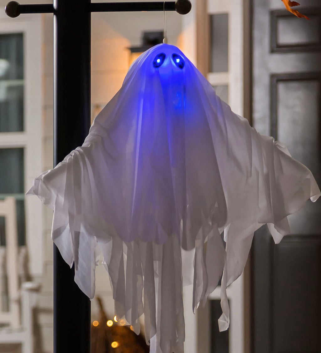 Animated Floating Ghost